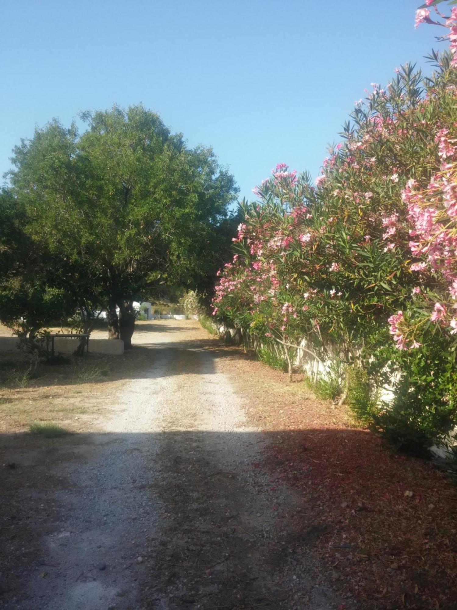 Villa Ζini 2 Kéfalos Exterior foto