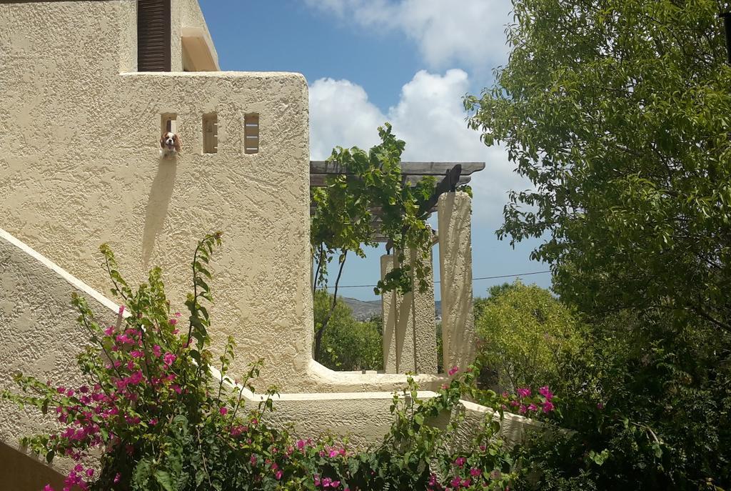Villa Ζini 2 Kéfalos Exterior foto